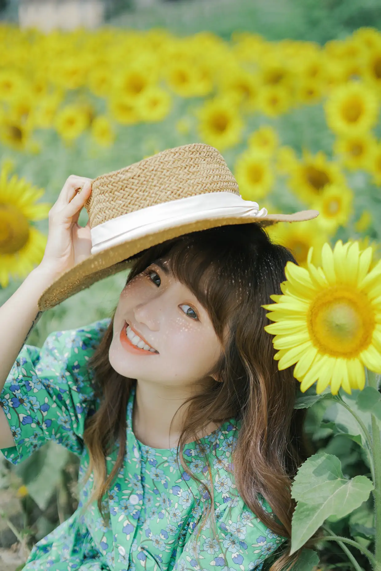 [艺图语] 2022.07.12 Vol.1458 – 向日葵的夏日 蓝胖子-#[33P]-24