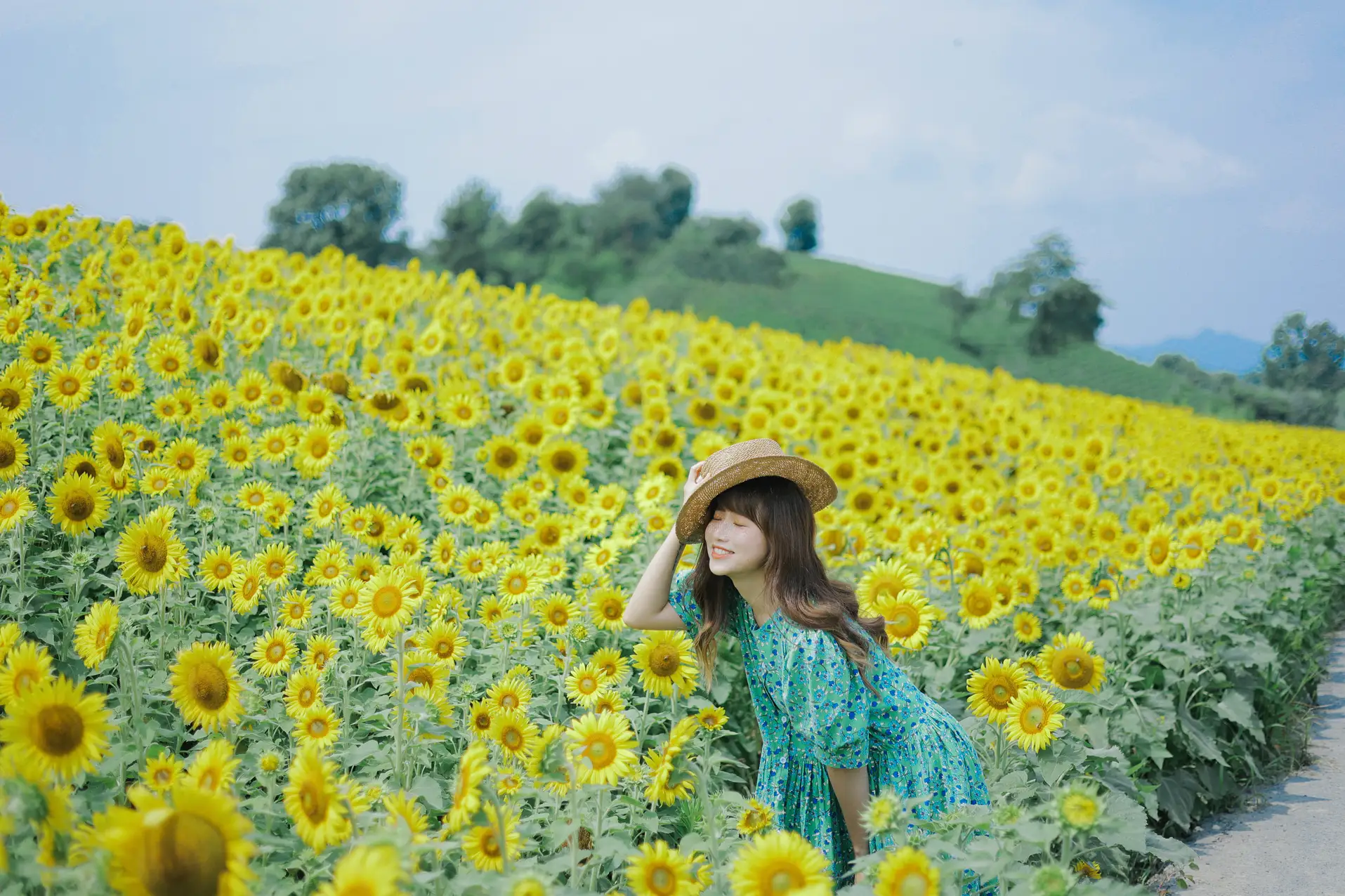 [艺图语] 2022.07.12 Vol.1458 – 向日葵的夏日 蓝胖子-#[33P]-25