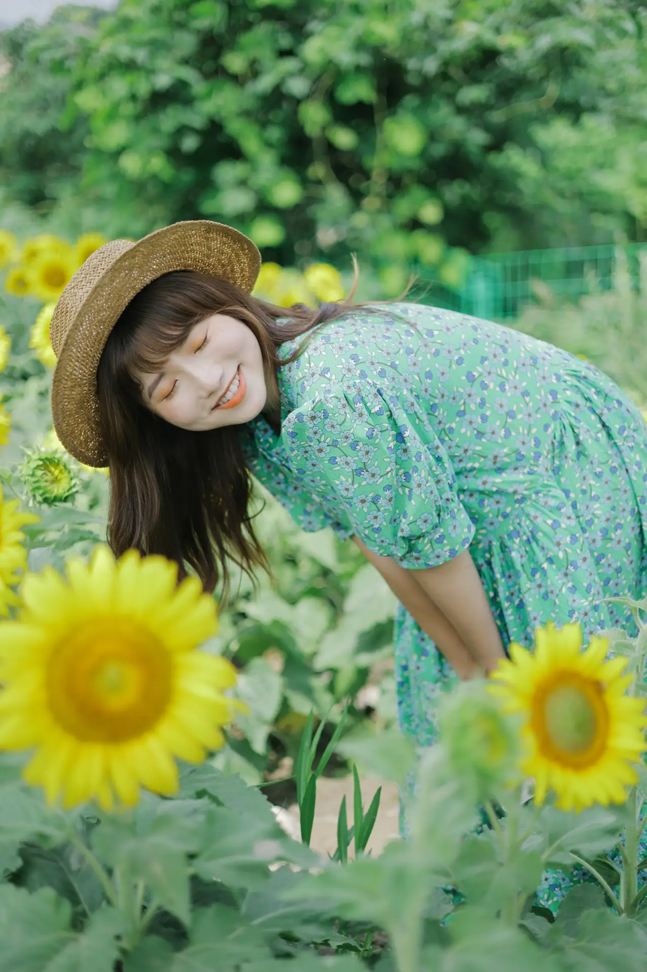 [艺图语] 2022.07.12 Vol.1458 – 向日葵的夏日 蓝胖子-#[33P]-26