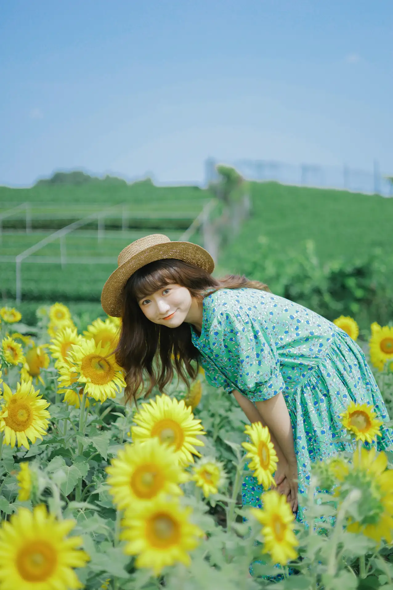 [艺图语] 2022.07.12 Vol.1458 – 向日葵的夏日 蓝胖子-#[33P]-28