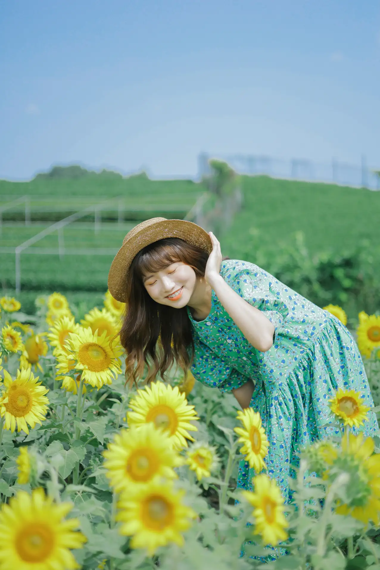 [艺图语] 2022.07.12 Vol.1458 – 向日葵的夏日 蓝胖子-#[33P]-29