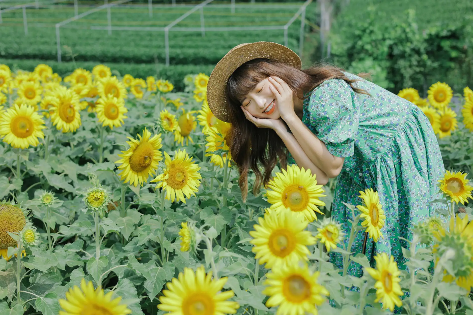 [艺图语] 2022.07.12 Vol.1458 – 向日葵的夏日 蓝胖子-#[33P]-30
