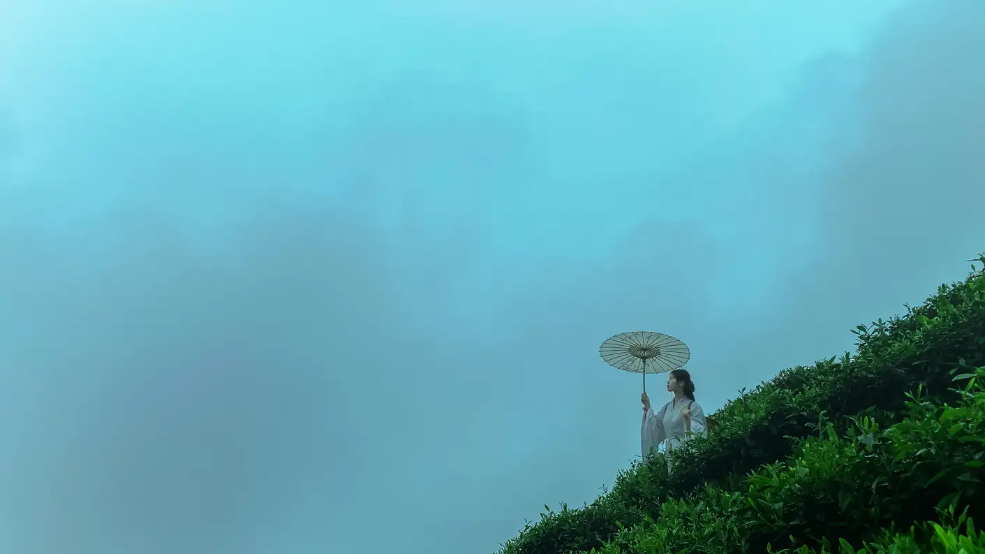 [艺图语] 2021.12.24 Vol.525 – 空山灵雨 初茶#[27P]-20