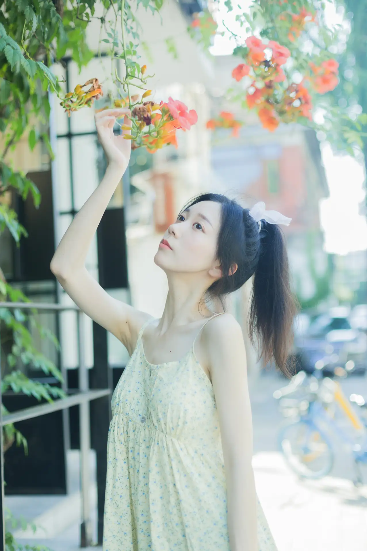[艺图语] 2022.08.18 Vol.1732 – 夏日凌霄 饲猫少女 饲猫少女-#[33P]-24