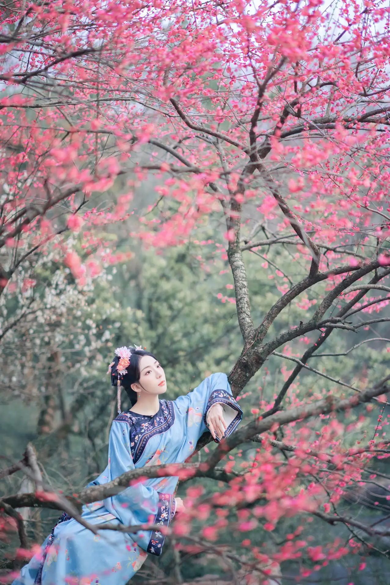 [艺图语] 2022.06.06 Vol.1101 – 探梅 是真的南渊#[43P]-21