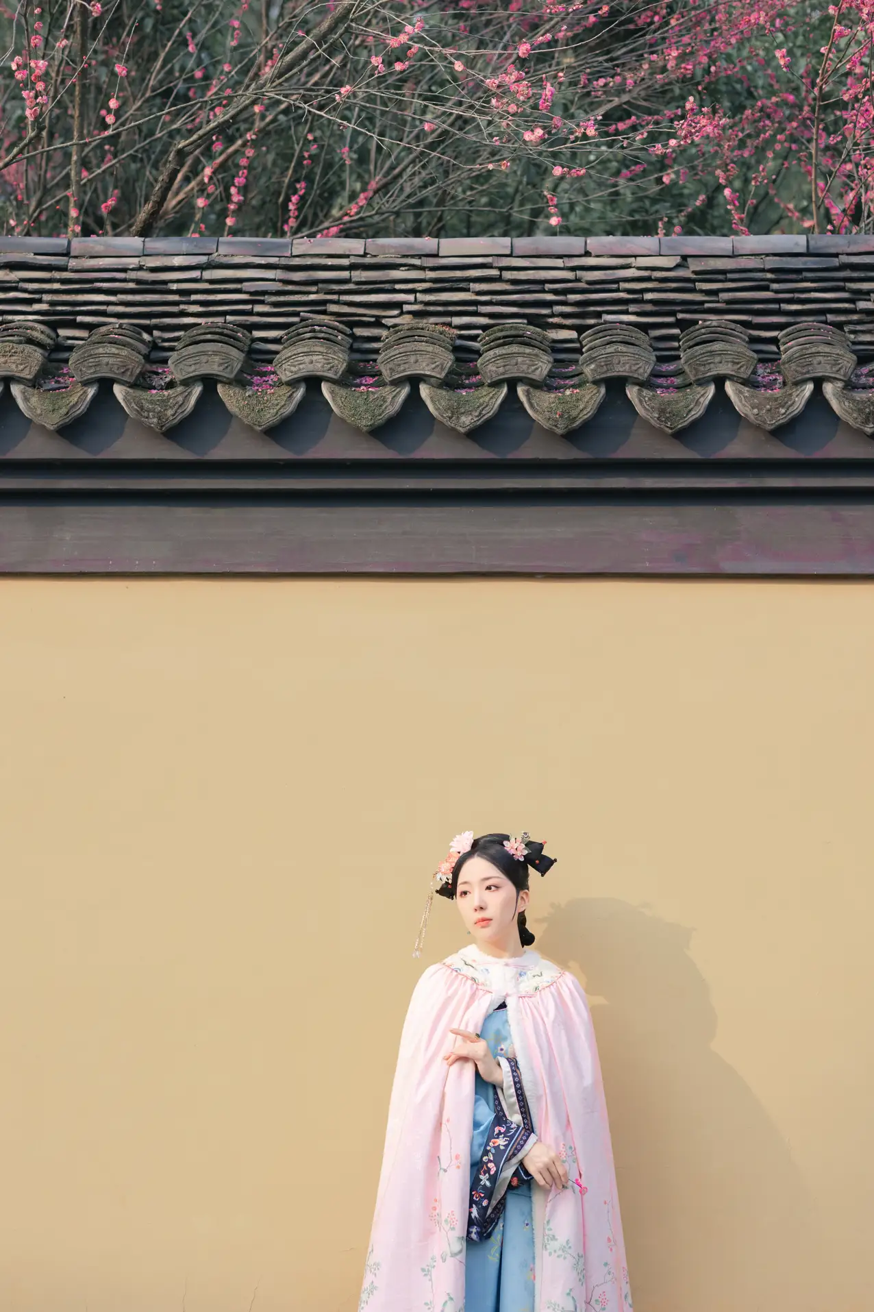 [艺图语] 2022.06.06 Vol.1101 – 探梅 是真的南渊#[43P]-4