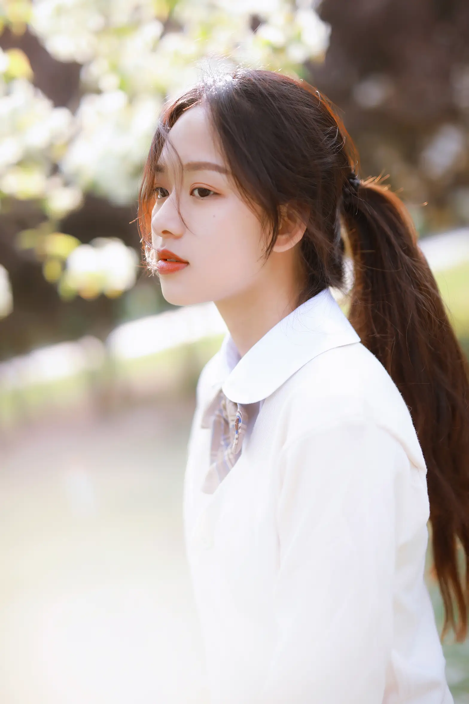 [艺图语] 2022.05.26 Vol.0987 – 春来无事，只为花忙 赛心#[28P]-5