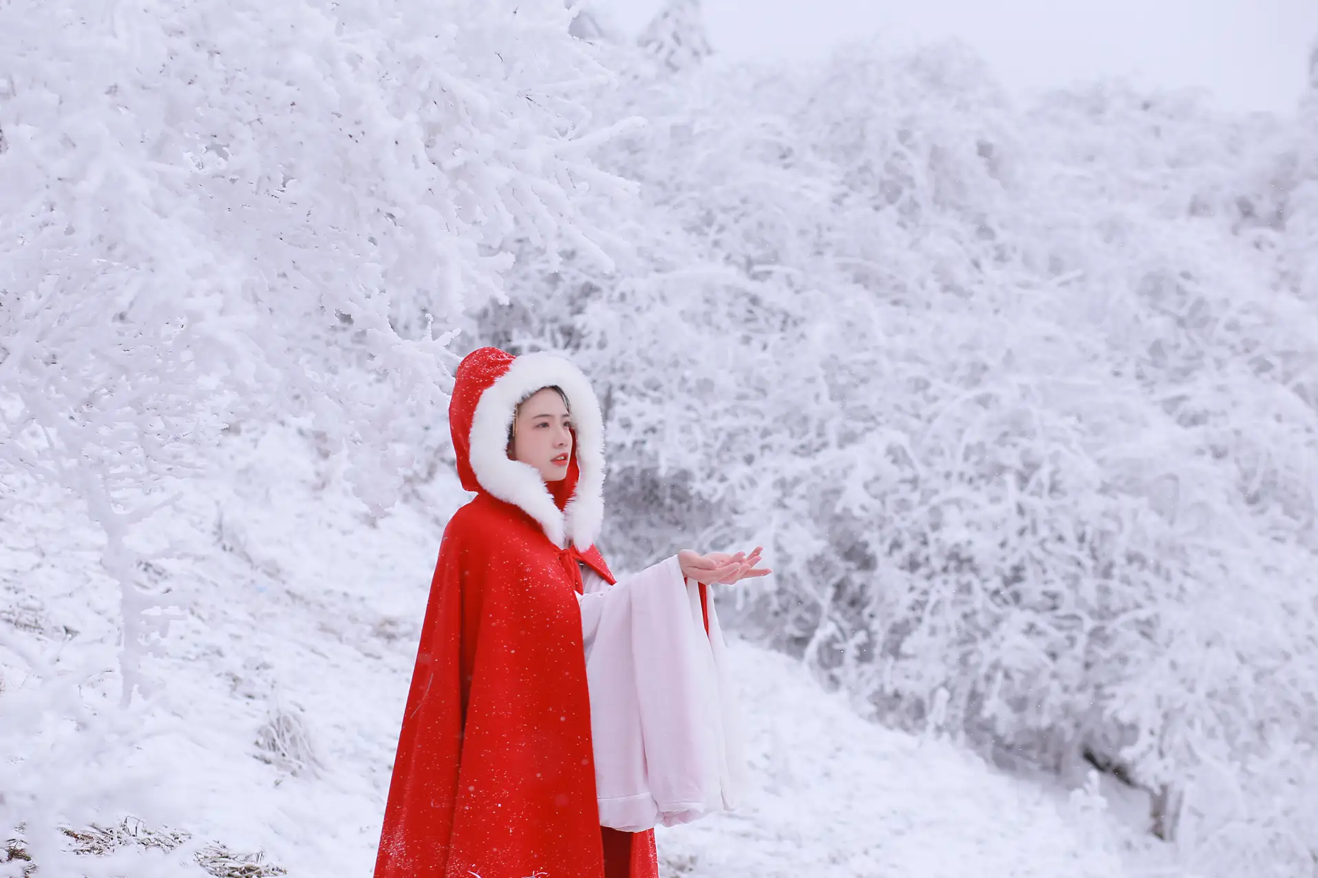 [艺图语] 2021.12.25 Vol.531 – 大雪 沂越#[35P]-11
