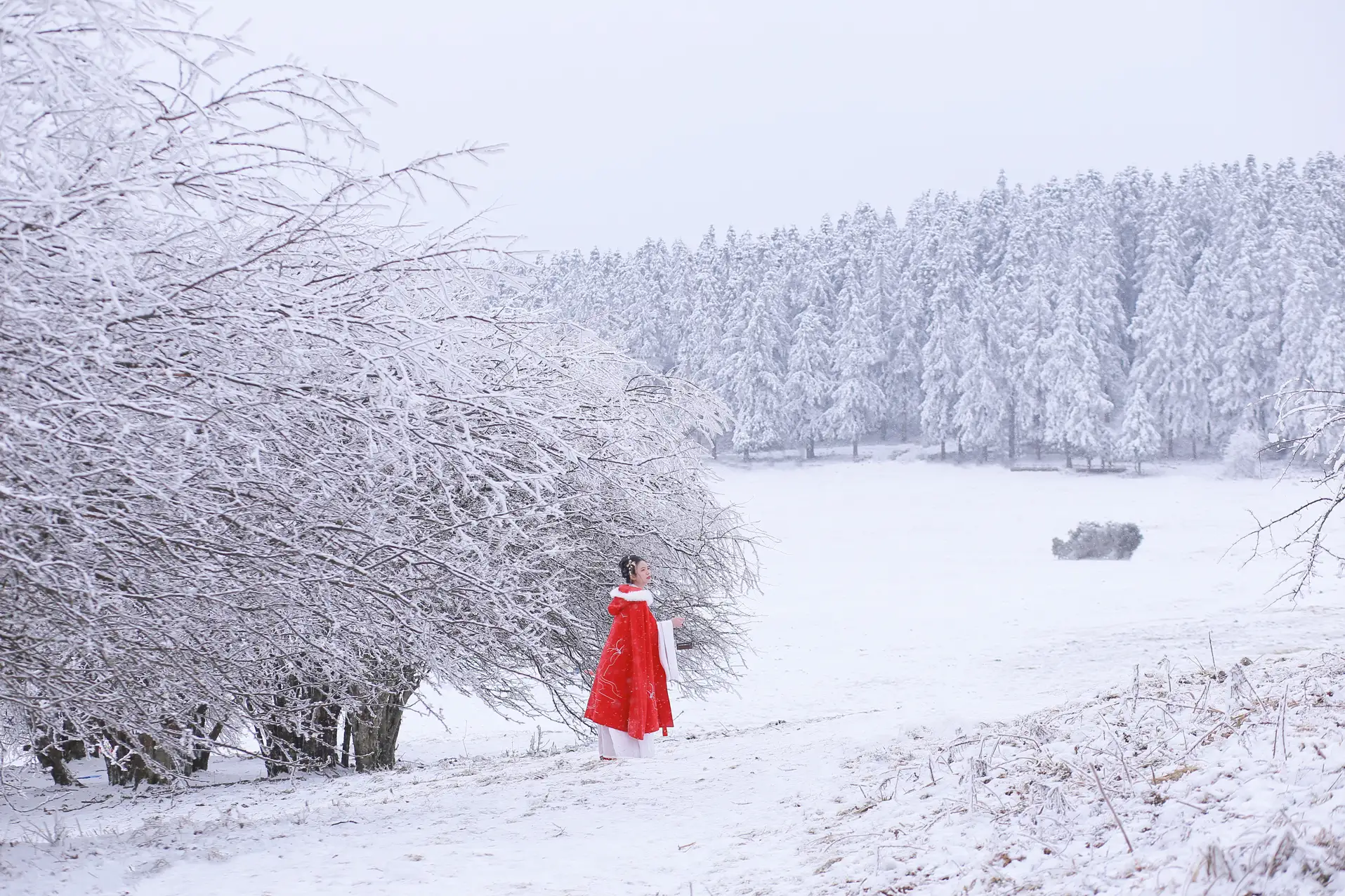 [艺图语] 2021.12.25 Vol.531 – 大雪 沂越#[35P]-13
