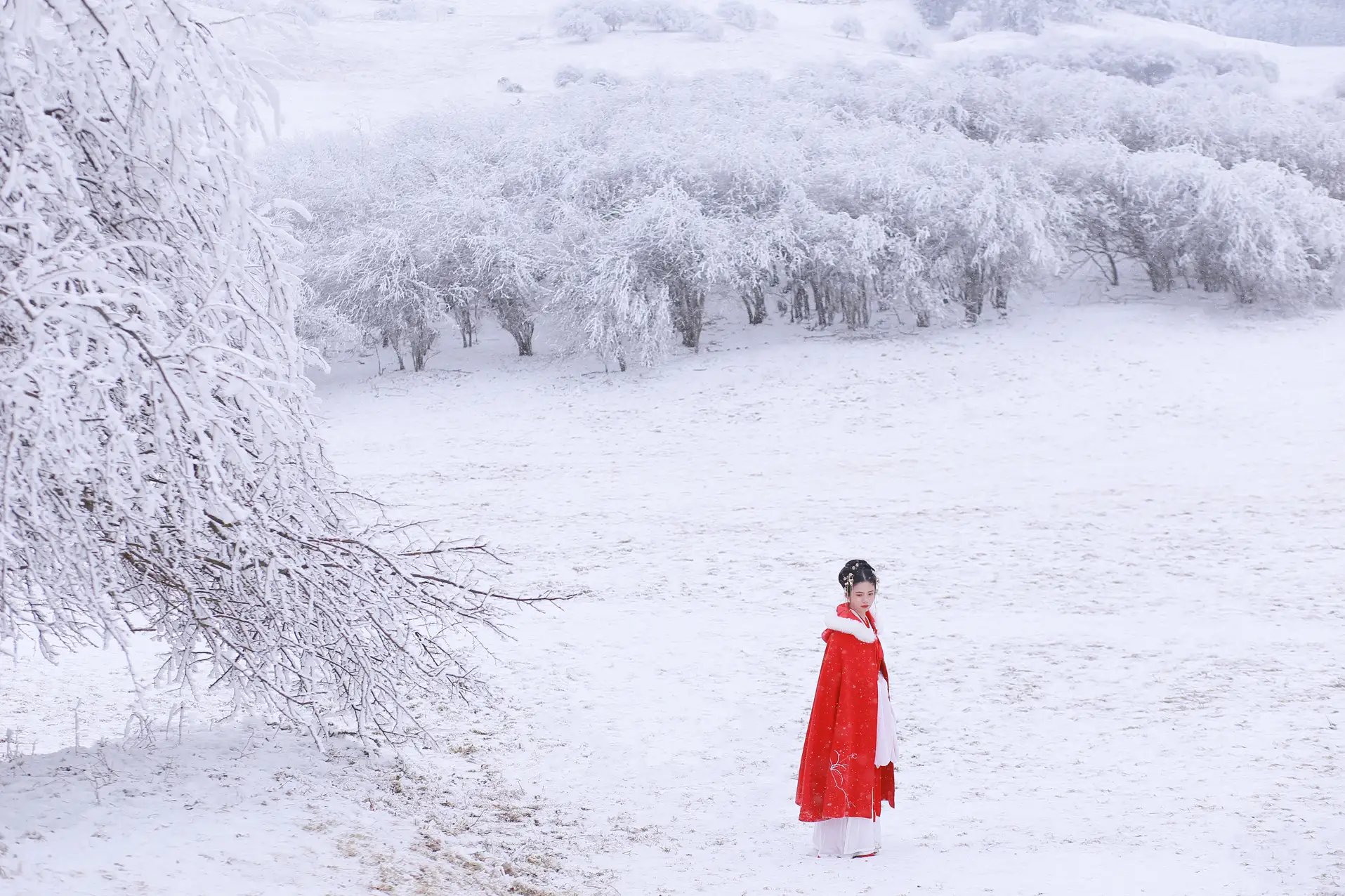 [艺图语] 2021.12.25 Vol.531 – 大雪 沂越#[35P]-14