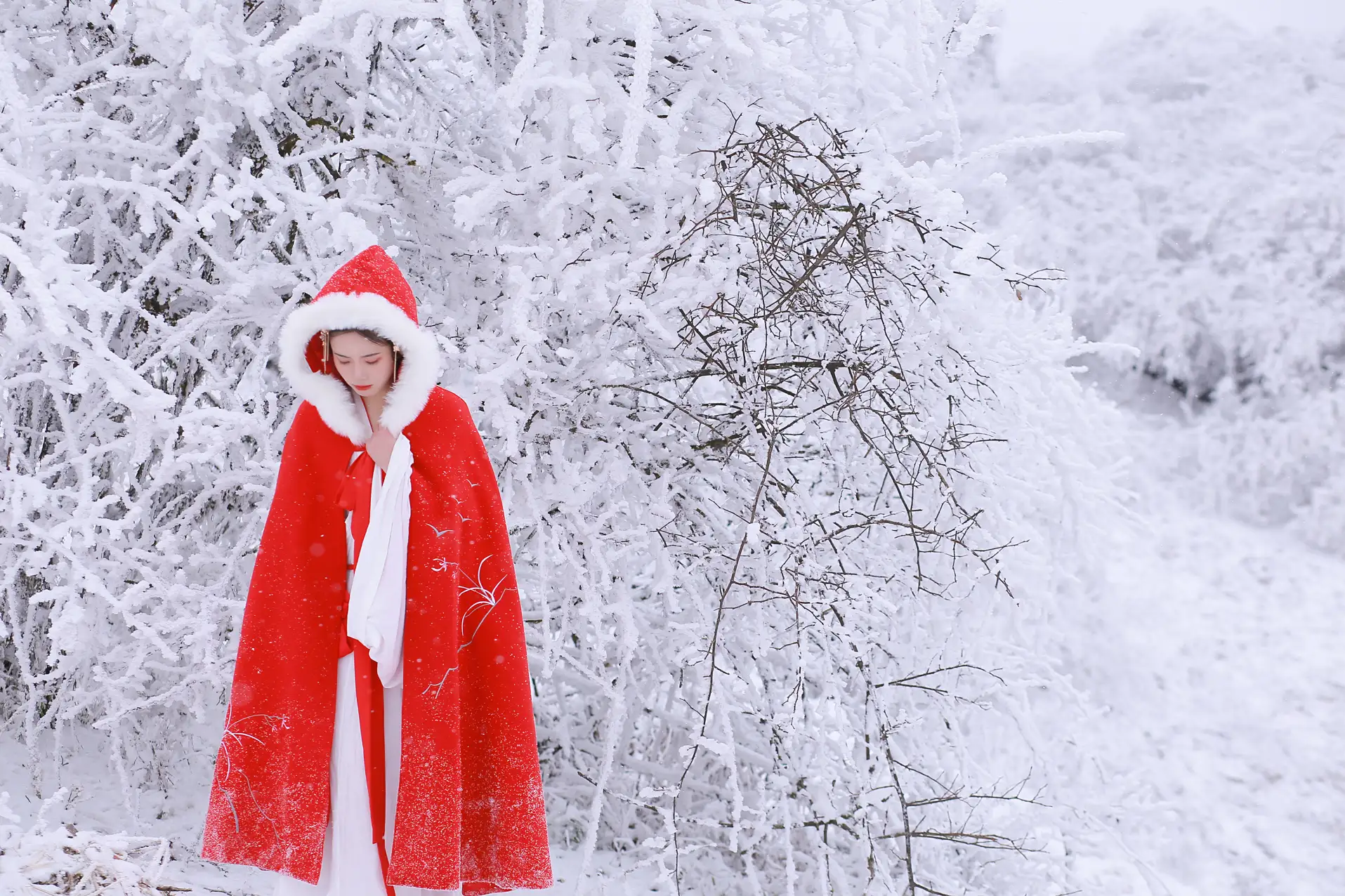 [艺图语] 2021.12.25 Vol.531 – 大雪 沂越#[35P]-15