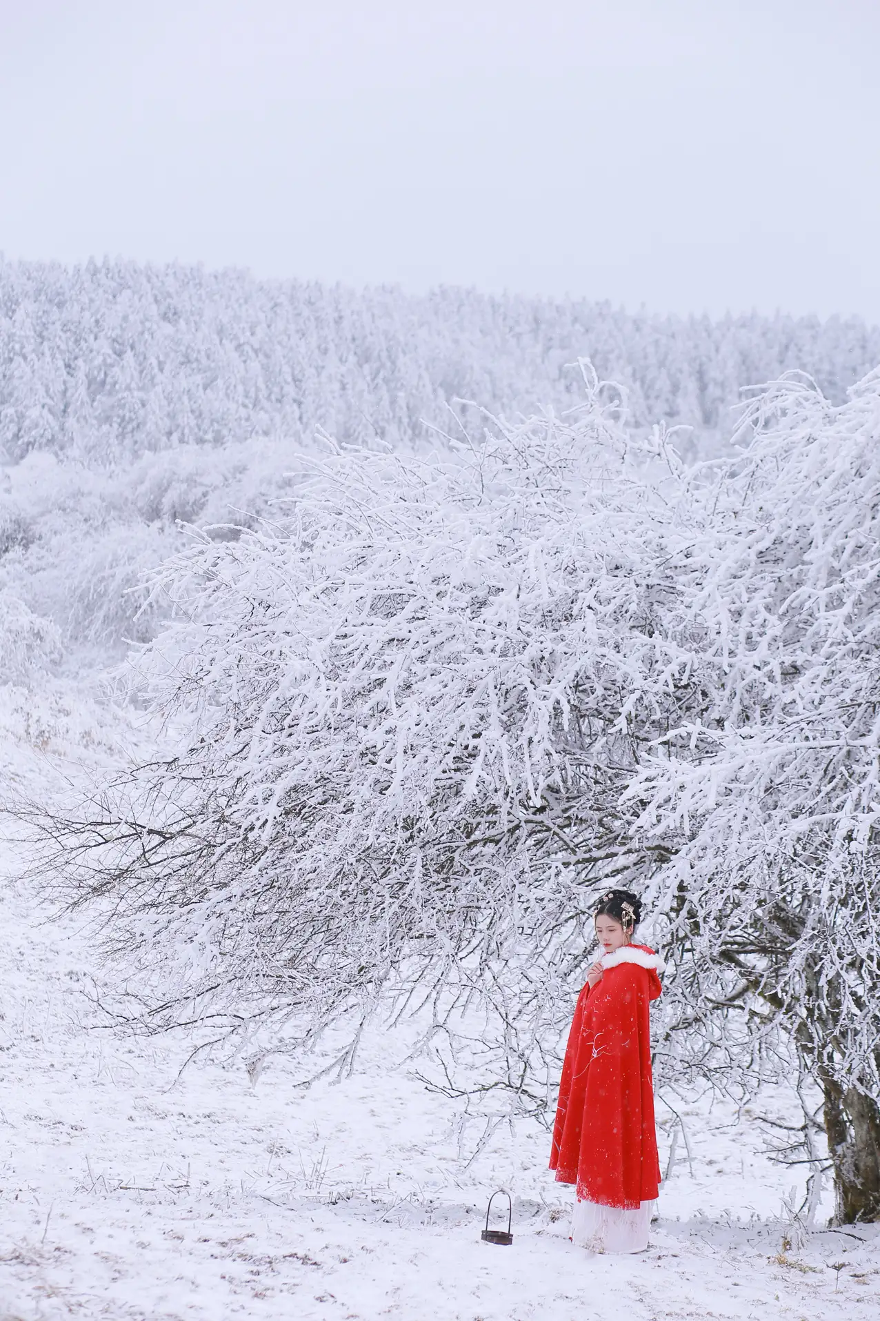 [艺图语] 2021.12.25 Vol.531 – 大雪 沂越#[35P]-18