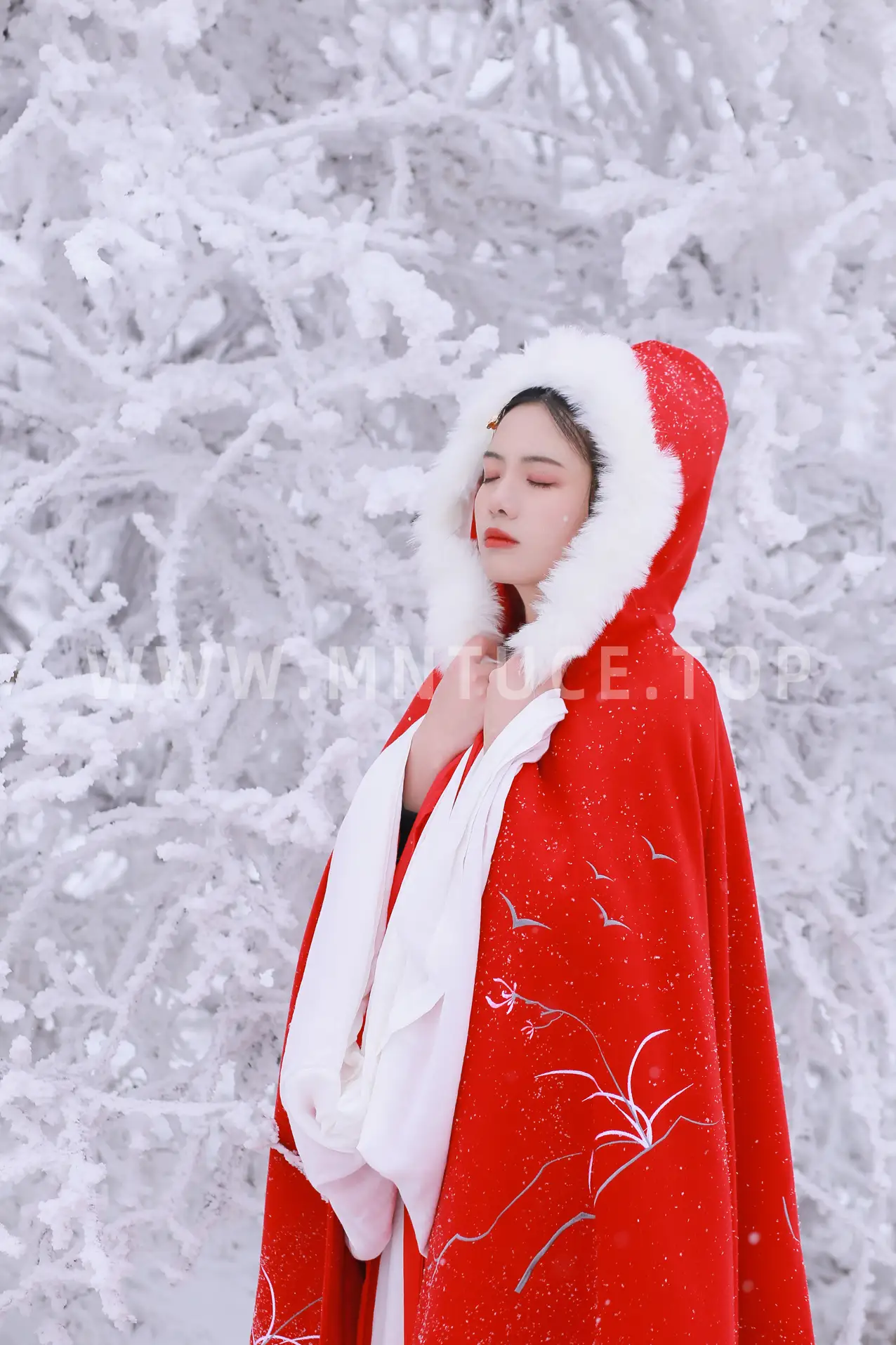 [艺图语] 2021.12.25 Vol.531 – 大雪 沂越#[35P]-19