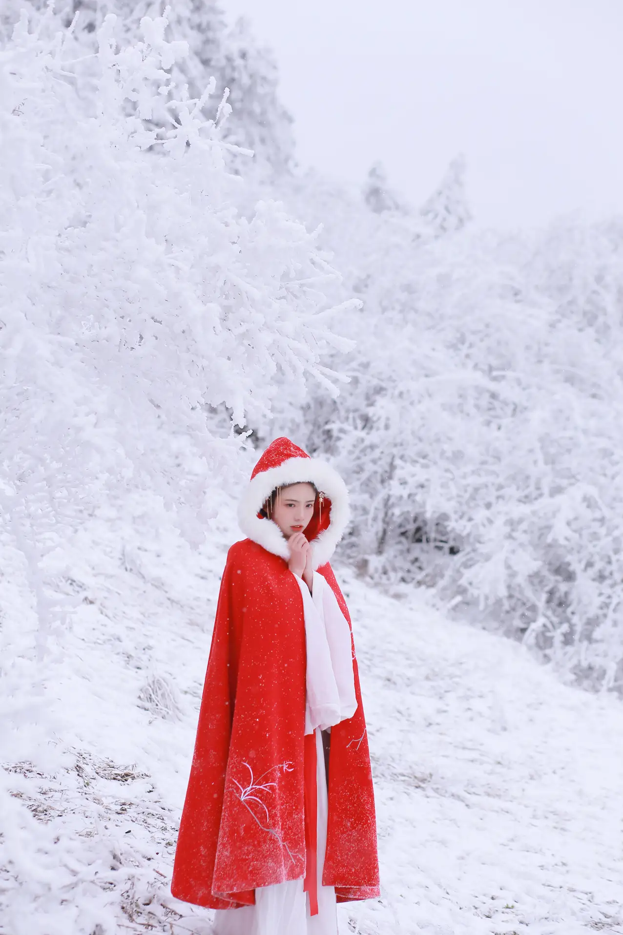 [艺图语] 2021.12.25 Vol.531 – 大雪 沂越#[35P]-22