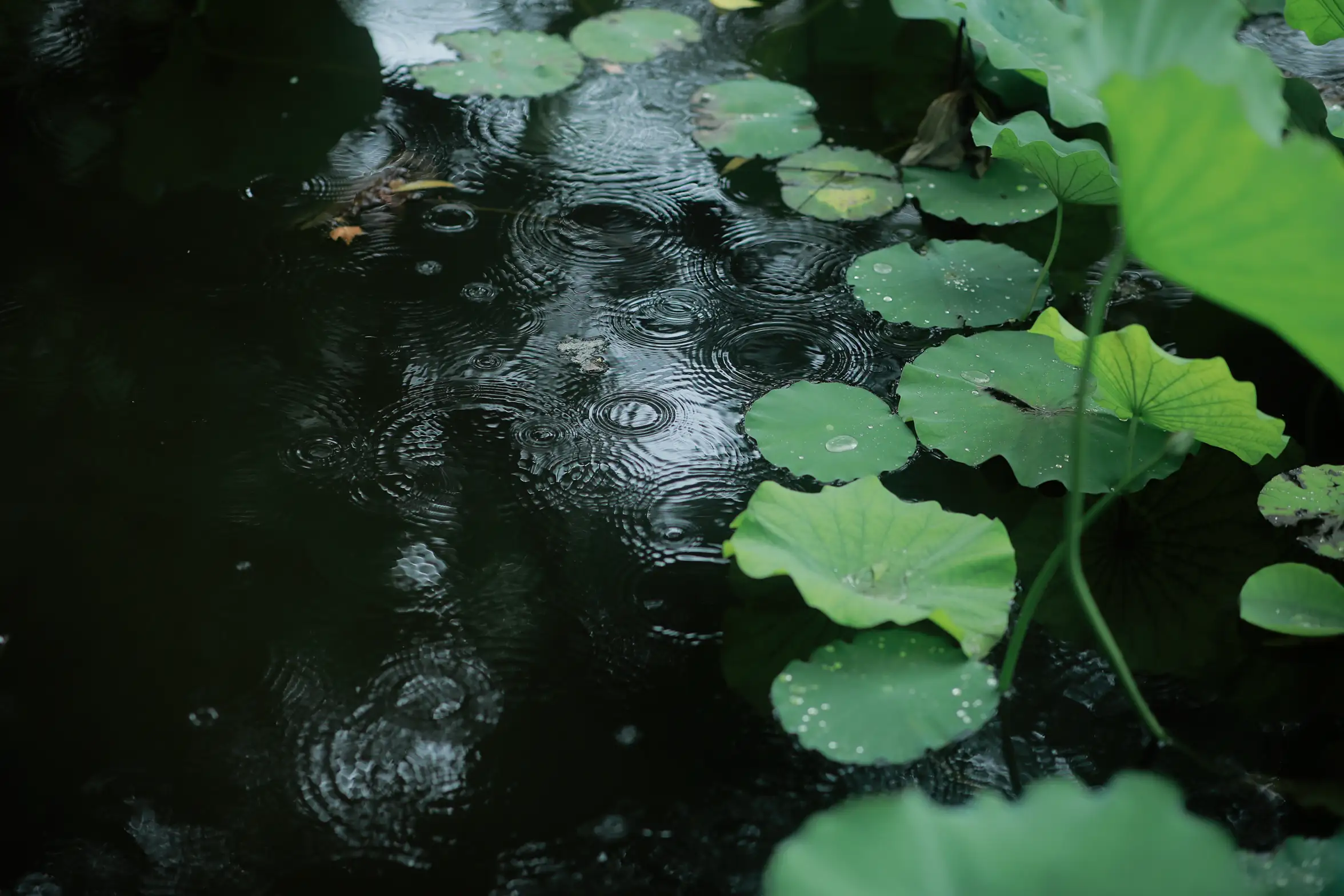 [YITUYU] 2022.08.31 VOL.1838 - Smoke and rain in the blue color AChE#[23P]-3