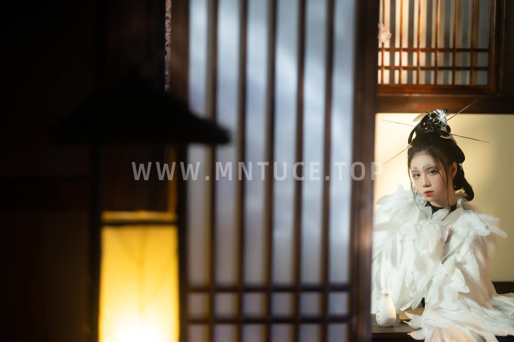 [艺图语] 2022.06.13 Vol.1172 – 重明鸟 贰加六#[40P]-14