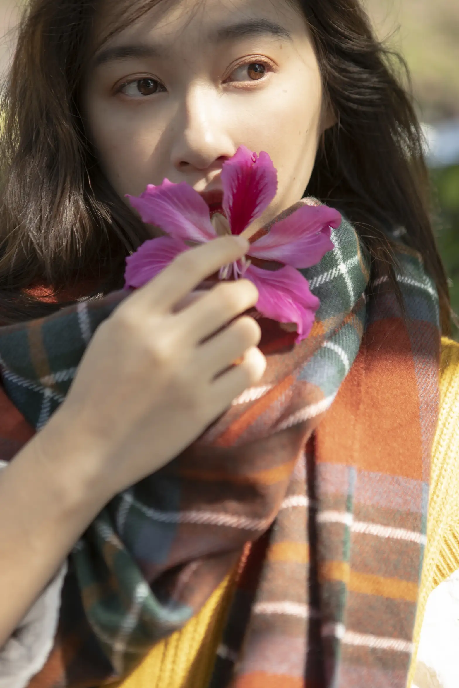 [艺图语] 2021.12.22 Vol.517 – 洋紫荆 小鲤#[27P]-20