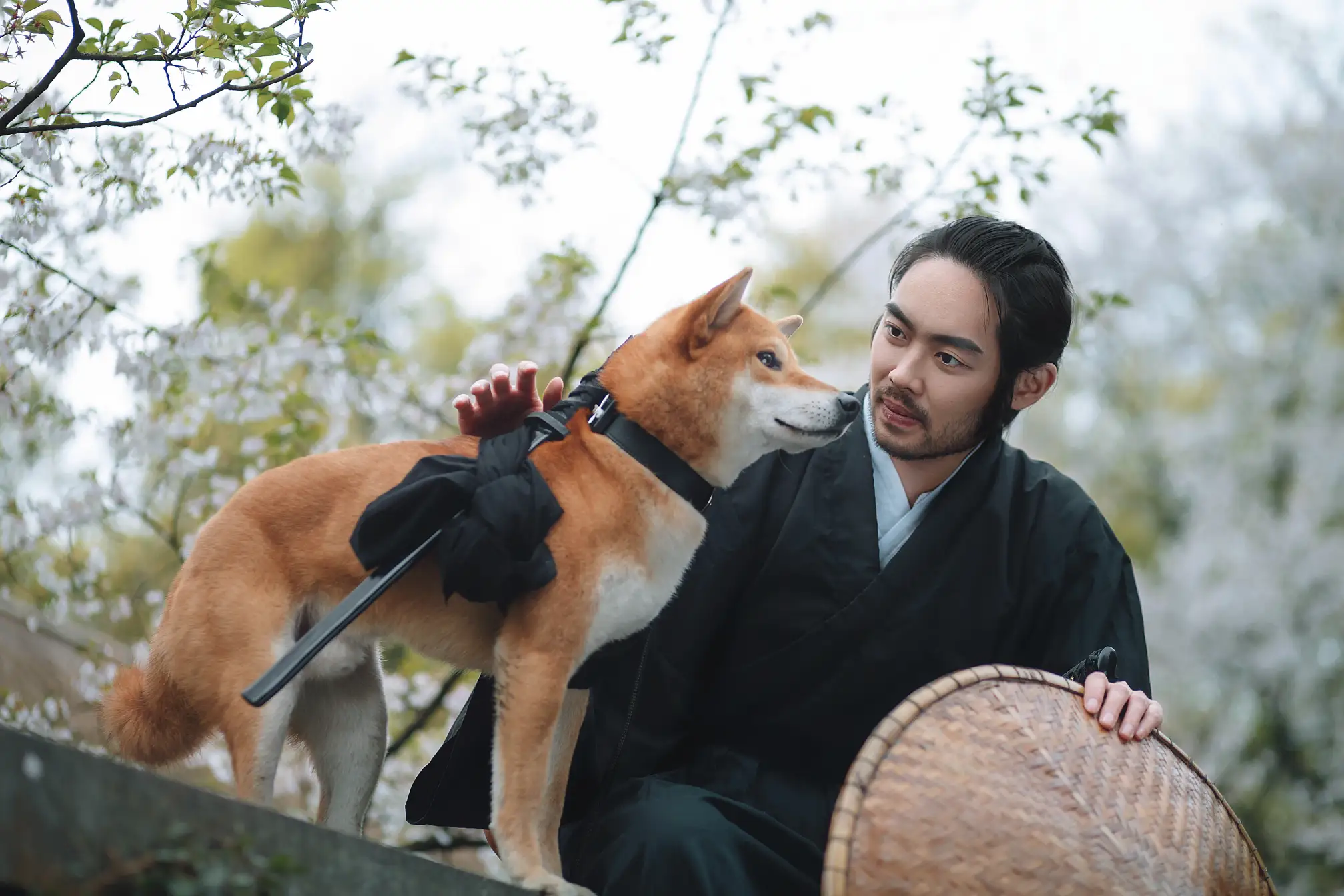 [艺图语] 2021.10.11 Vol.344 – 犬侍 老乔#[21P]-8