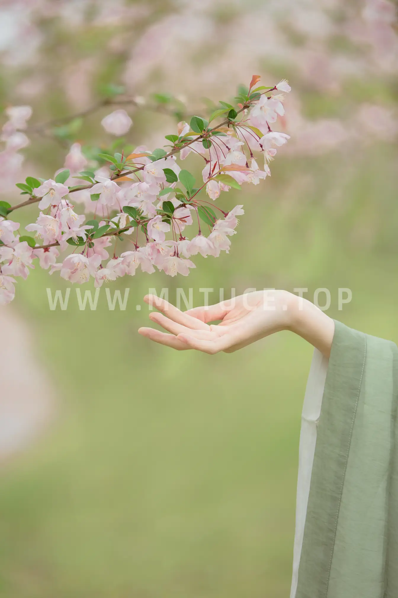[艺图语] 2022.06.06 Vol.1100 – 山水有清音 王韵涵涵#[20P]-14