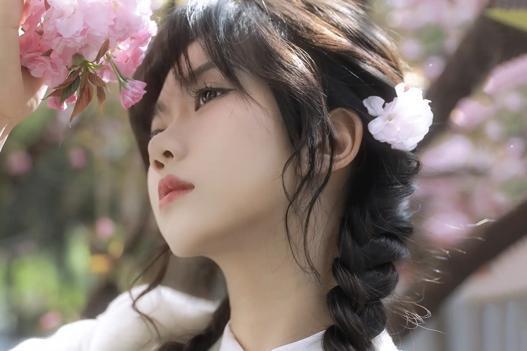 [艺图语] 2022.05.21 Vol.0944 – 繁樱一树 聂十三#[21P]-5