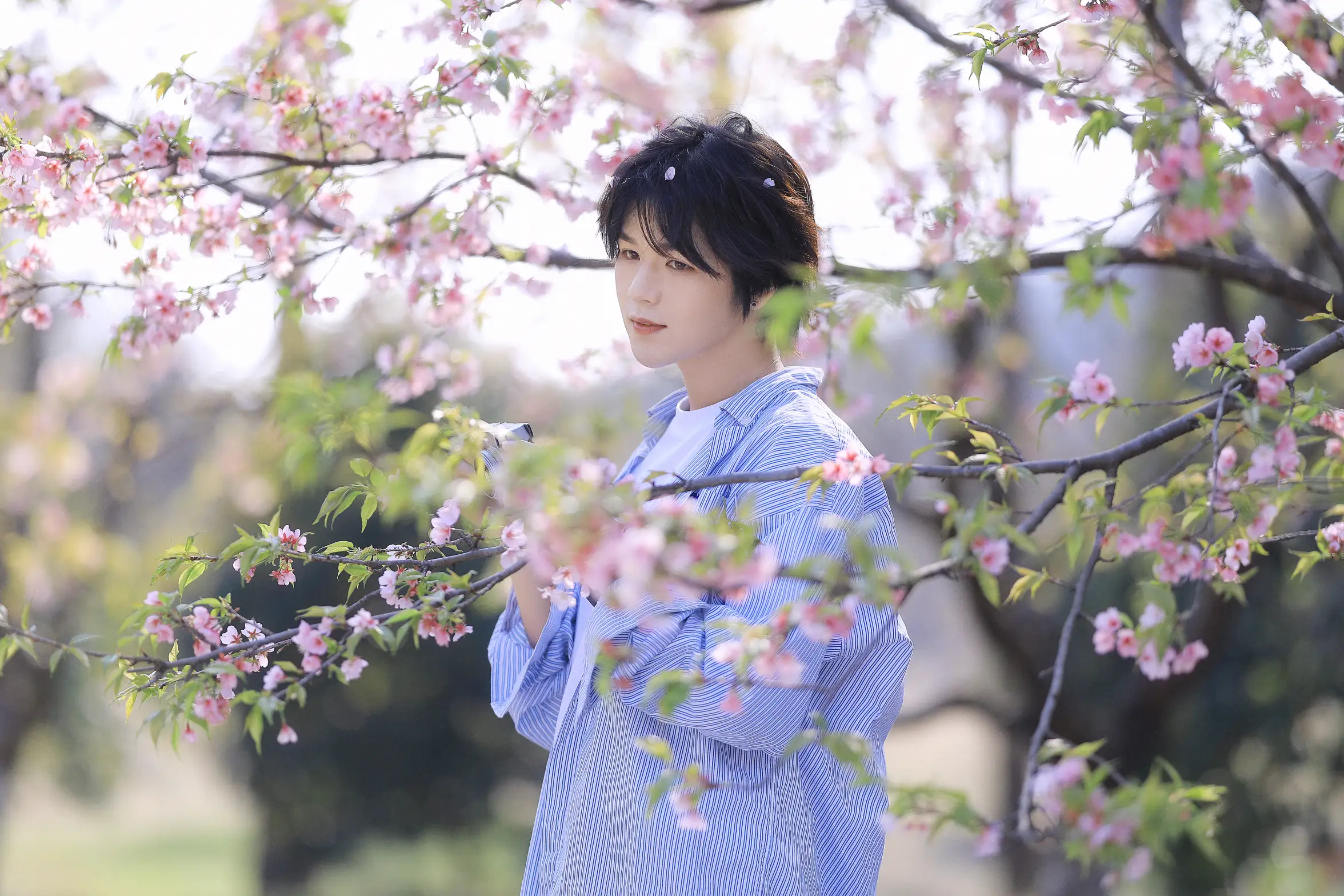 [艺图语] 2022.05.29 Vol.1025 – 樱花少年 李宇轩Yashon#[23P]-13