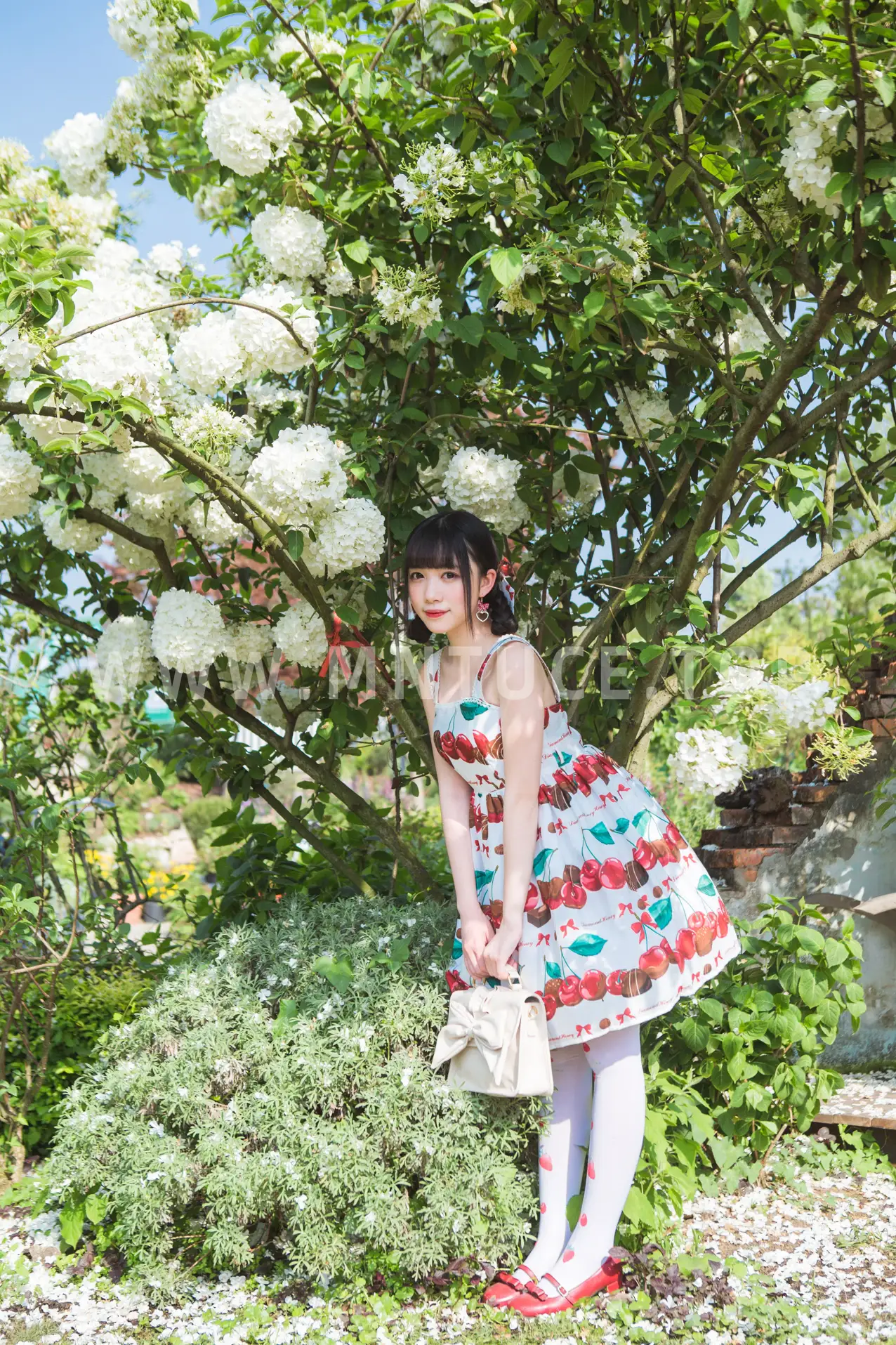 [艺图语] 2022.05.20 Vol.0938 – 绣球花 小风#[43P]-14