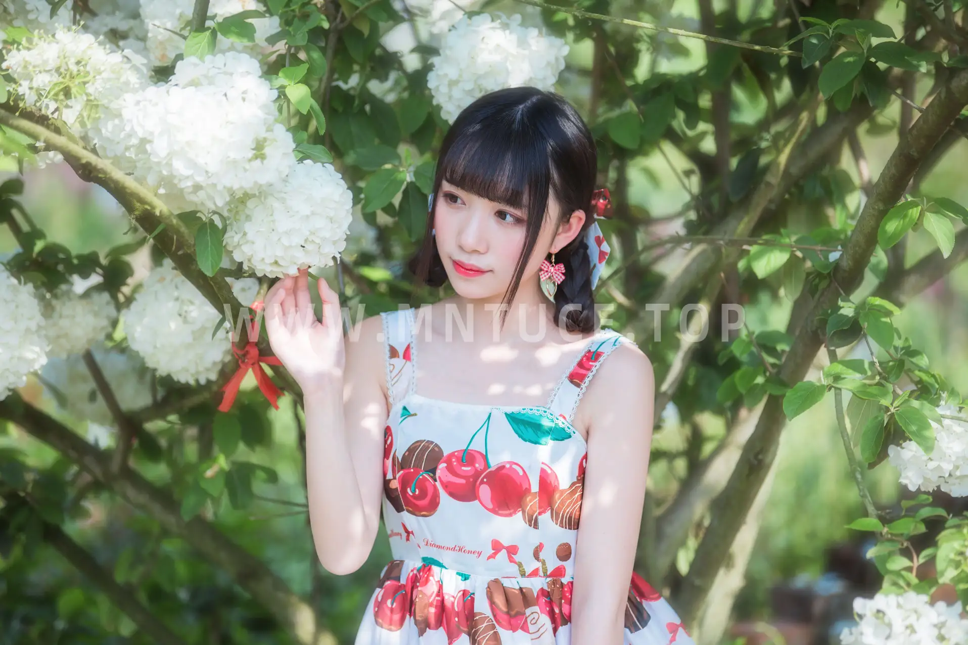 [艺图语] 2022.05.20 Vol.0938 – 绣球花 小风#[43P]-6