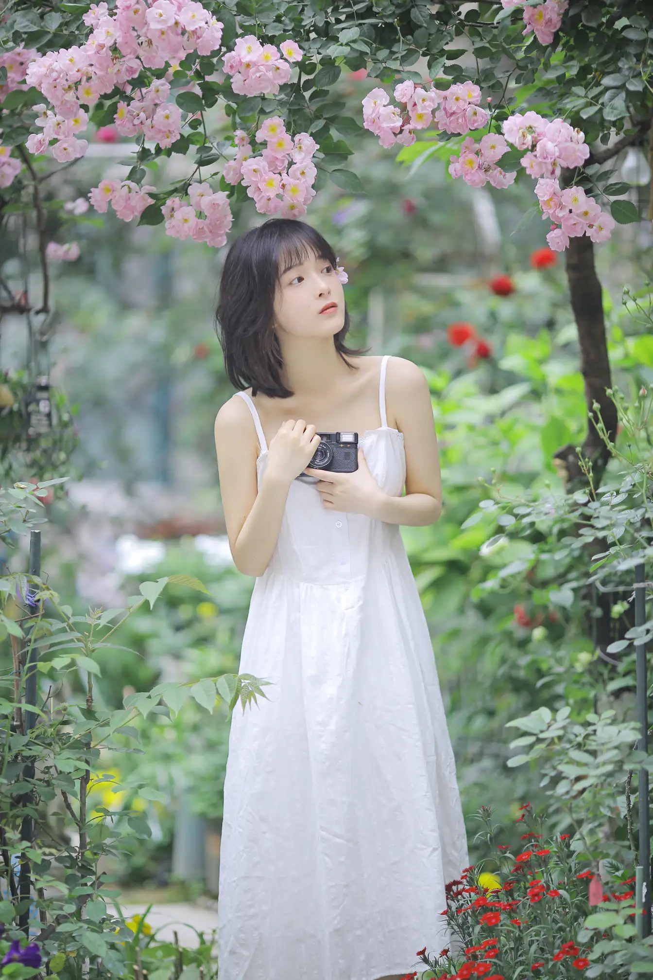 [艺图语] 2022.08.17 Vol.1725 – 花期已致 美好如初 甜酒八號#[30P]-30