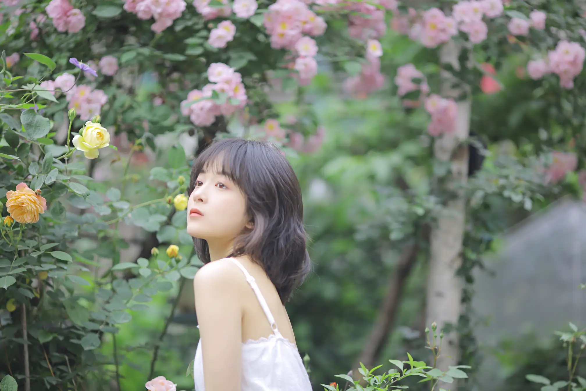 [艺图语] 2022.08.17 Vol.1725 – 花期已致 美好如初 甜酒八號#[30P]-6
