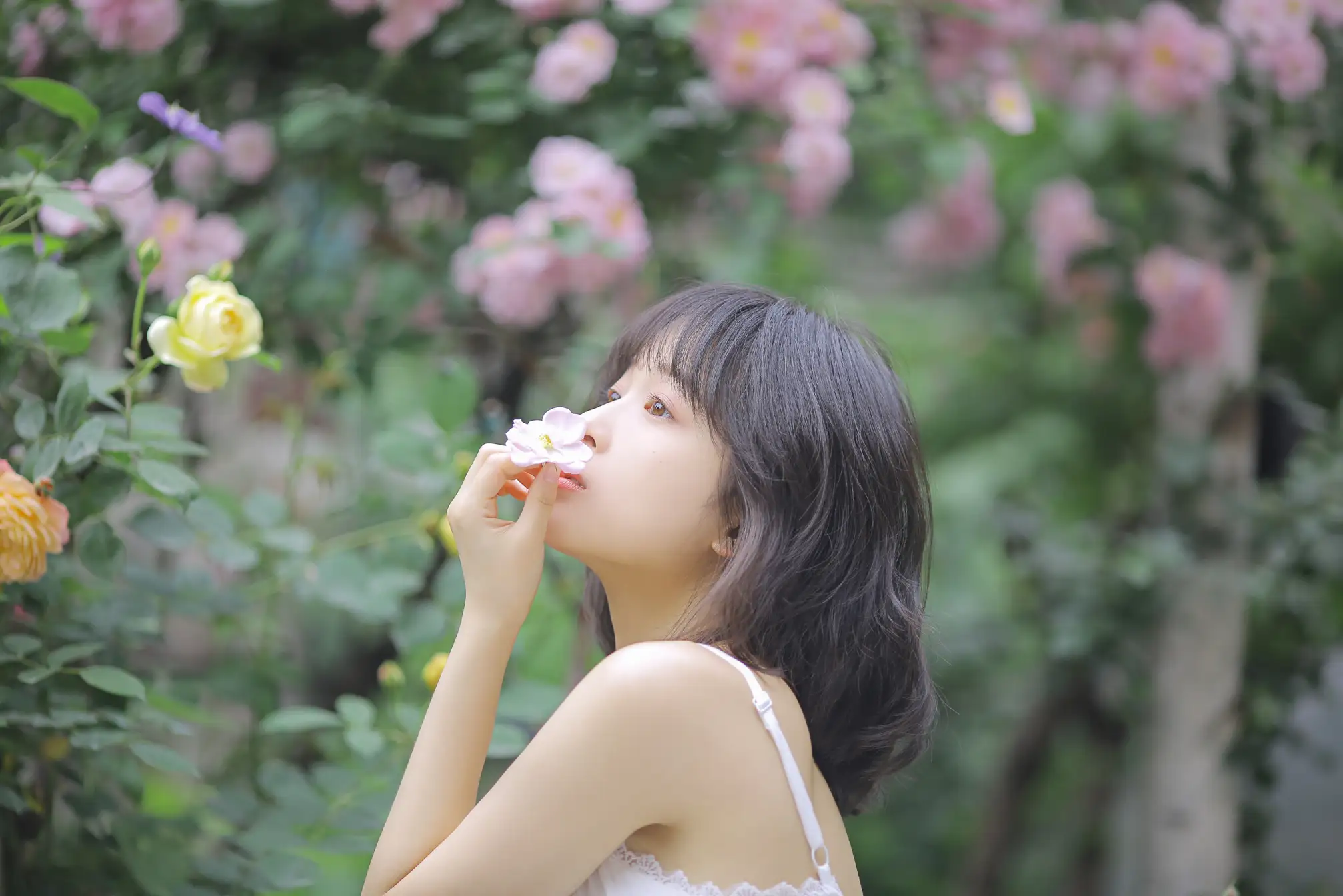 [艺图语] 2022.08.17 Vol.1725 – 花期已致 美好如初 甜酒八號#[30P]-8
