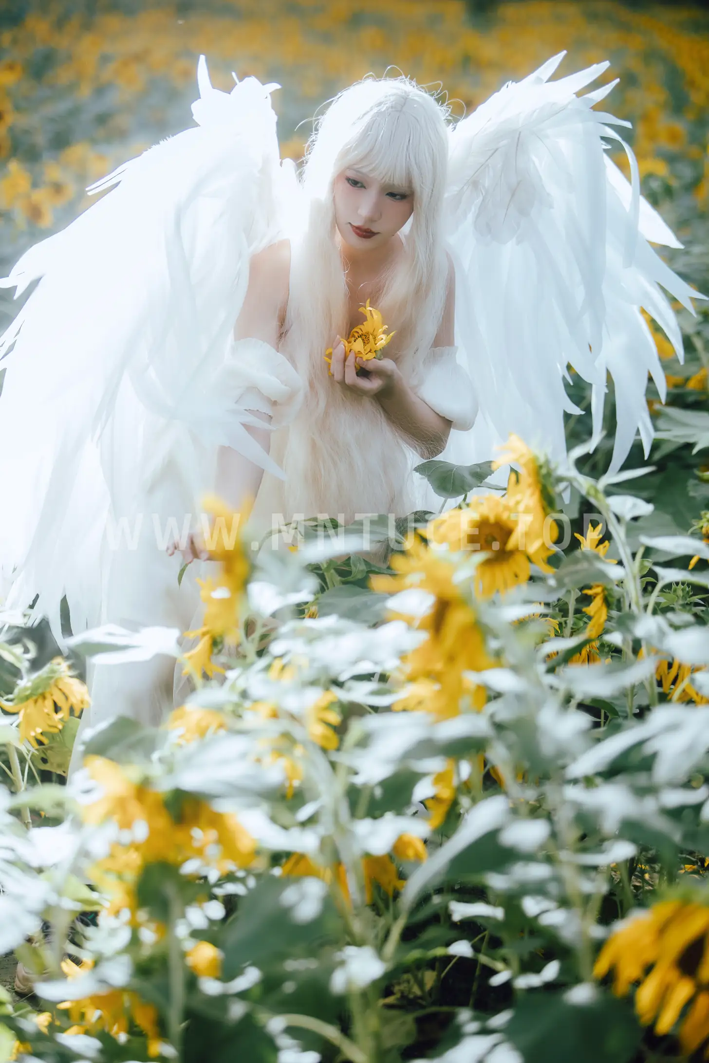 [艺图语] 2022.11.15 Vol.2441 – 孤鸟 努力搬砖的双翮#[21P]-14