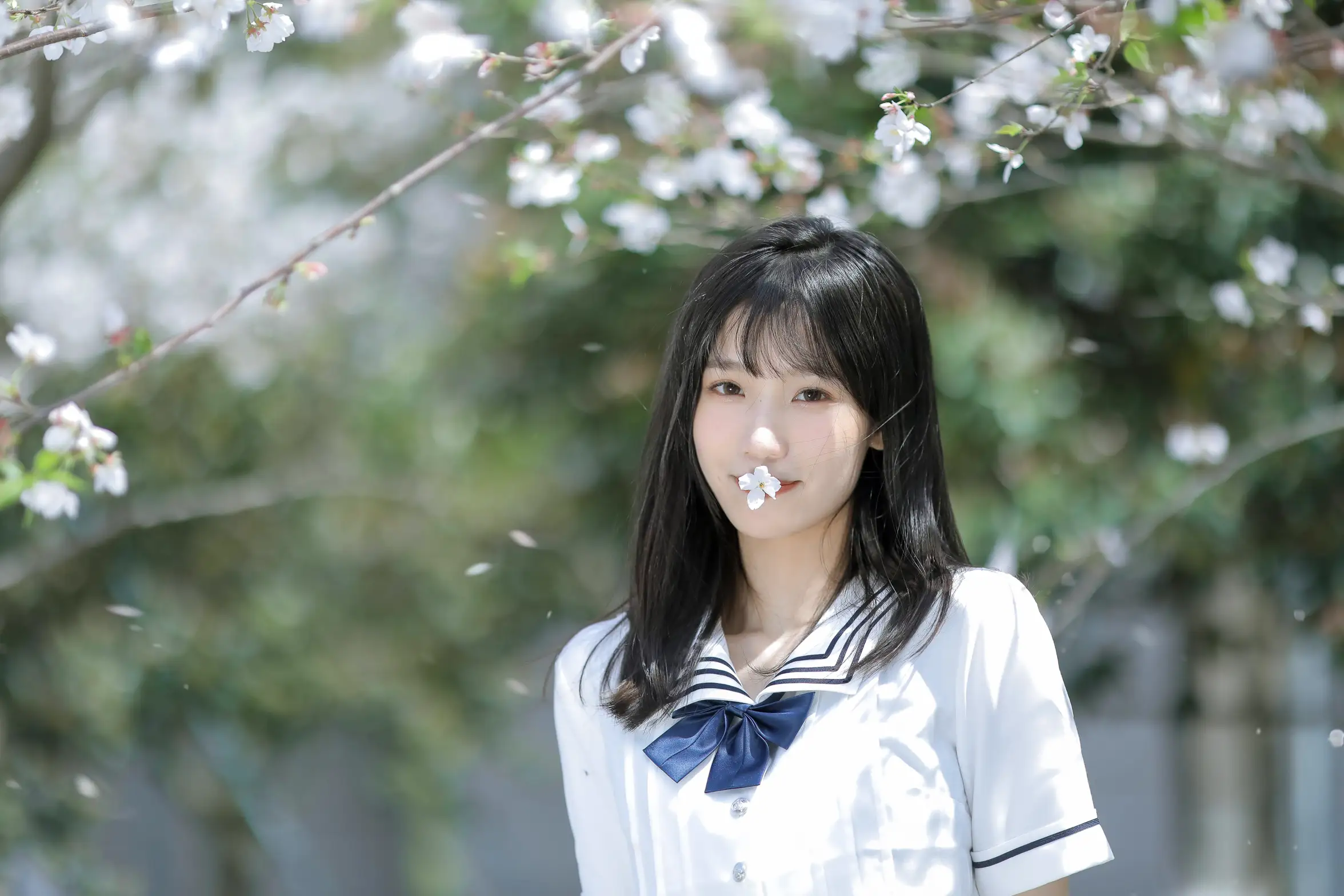 [艺图语] 2022.11.23 Vol.2506 春日樱花#[29P]-15